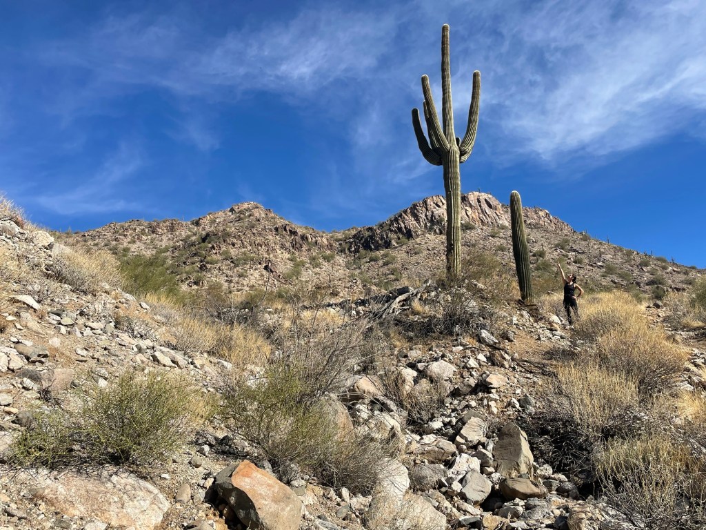 Family Fun in&nbsp;Phoenix