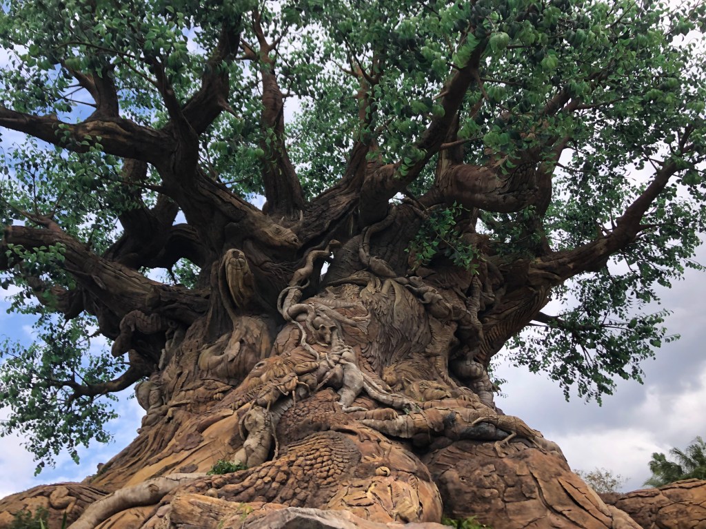 Getting Wild at Disney’s Animal&nbsp;Kingdom