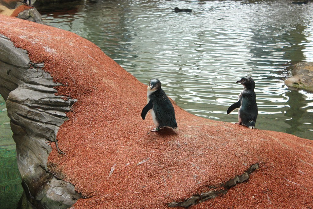 A Day in&nbsp;Mainly